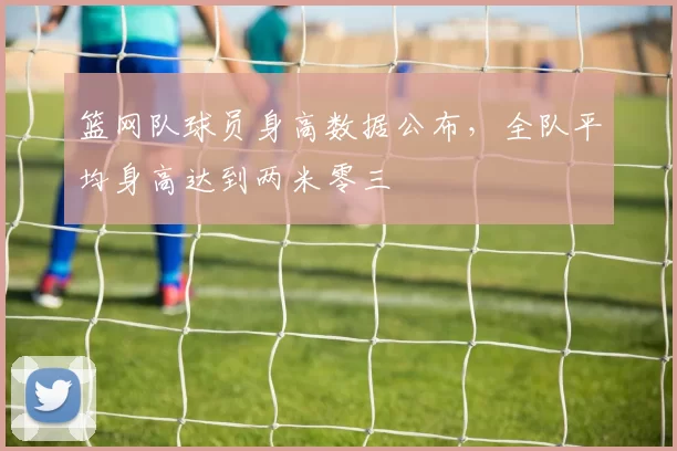 篮网队球员身高数据公布,全队平均身高达到两米零三
