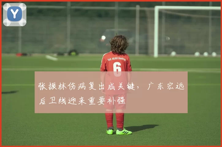 张振林伤病复出成关键，广东宏远后卫线迎来重要补强