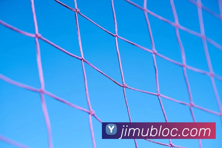 半岛网页版登录入口APP 封面图